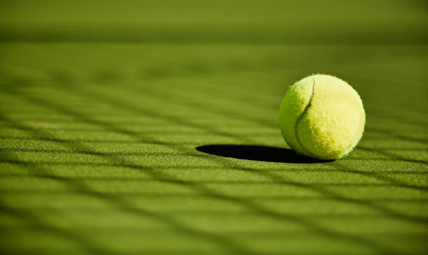 construction court de tennis en gazon synthétique à Angers